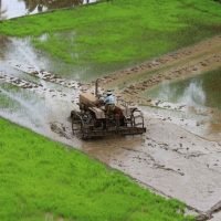 Cultivation-v2