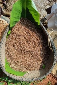 cultivation-02